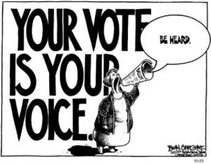 vote is your voice